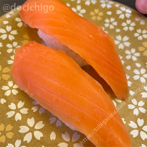 f:id:docichigo:20230716195532j:image