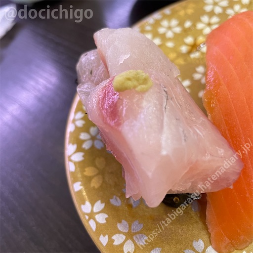 f:id:docichigo:20230716195537j:image