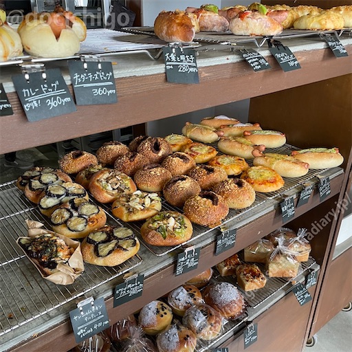 f:id:docichigo:20230716205117j:image