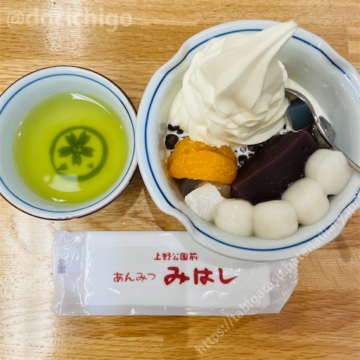 f:id:docichigo:20230812205909j:image