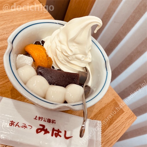 f:id:docichigo:20230812205924j:image