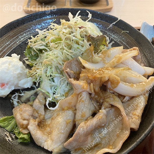 f:id:docichigo:20230812213600j:image