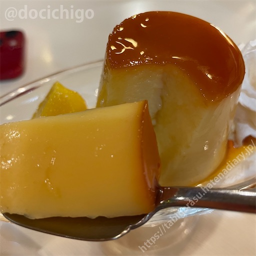f:id:docichigo:20230910171442j:image