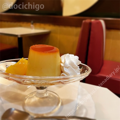 f:id:docichigo:20230910171448j:image