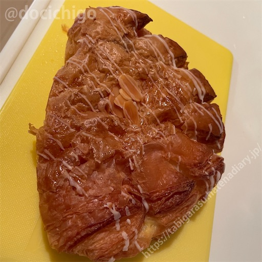 f:id:docichigo:20230910194114j:image