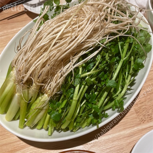 f:id:docichigo:20230917193513j:image f:id:docichigo:20230917193513j:image