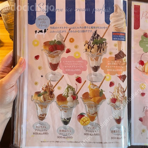 f:id:docichigo:20230930210951j:image