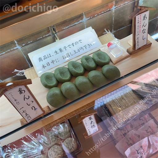 f:id:docichigo:20231009194953j:image