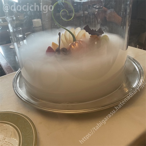 f:id:docichigo:20231105201959j:image