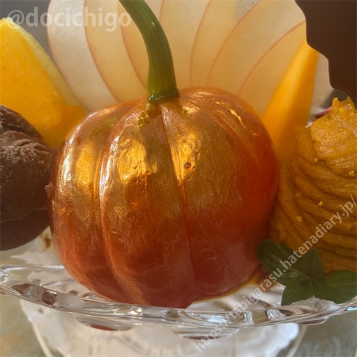 f:id:docichigo:20231105202003j:image