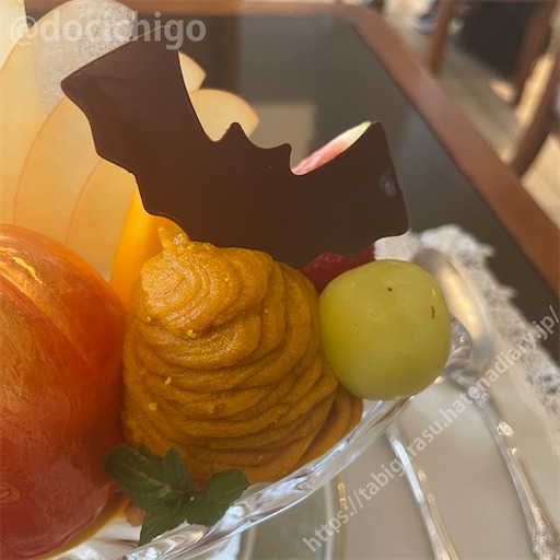 f:id:docichigo:20231105202009j:image