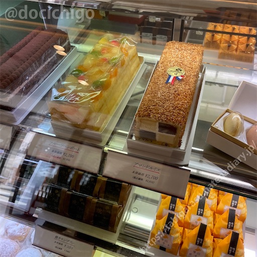 f:id:docichigo:20231105205522j:image