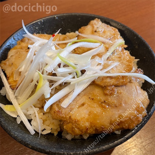 f:id:docichigo:20231112183613j:image