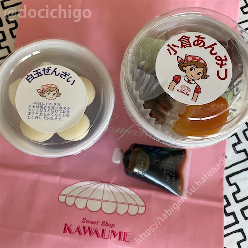 f:id:docichigo:20231119194447j:image