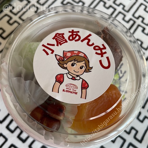 f:id:docichigo:20231119194524j:image