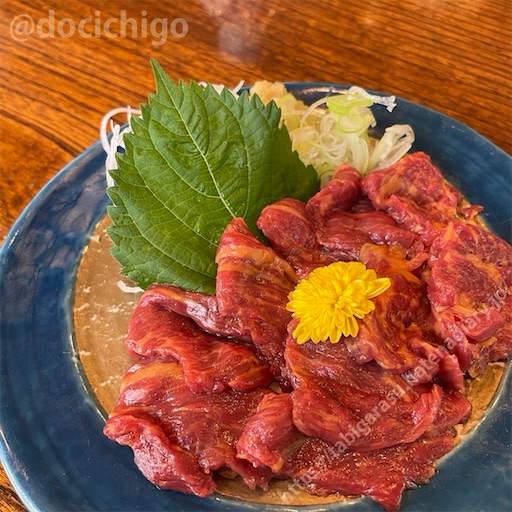 f:id:docichigo:20240103172753j:image