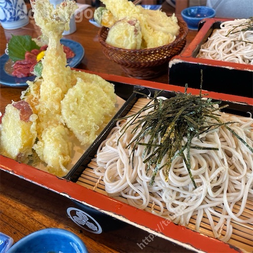 f:id:docichigo:20240103172801j:image
