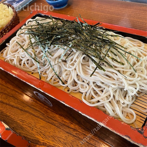 f:id:docichigo:20240103172804j:image
