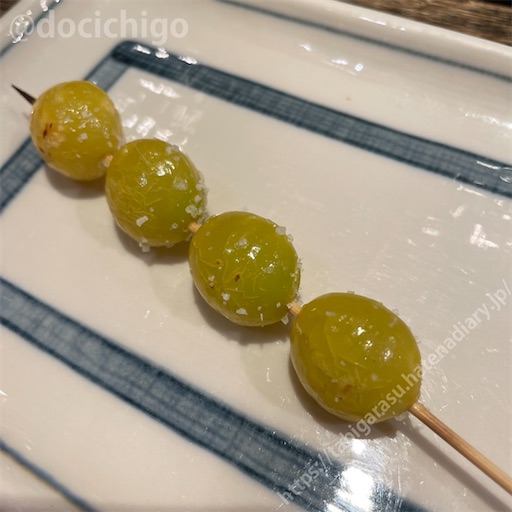 f:id:docichigo:20240103192532j:image