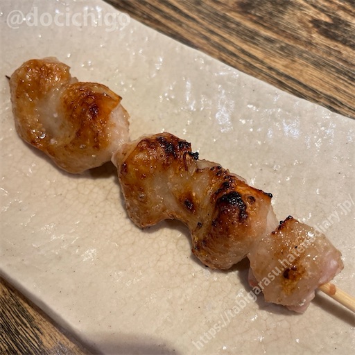 f:id:docichigo:20240103192603j:image