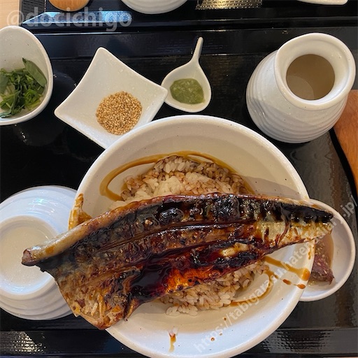 f:id:docichigo:20240103204145j:image f:id:docichigo:20240103204145j:image