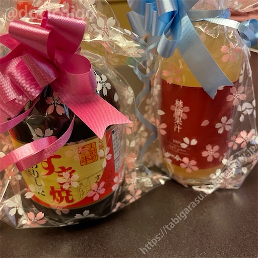 f:id:docichigo:20240114182913j:image