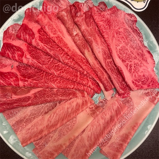 f:id:docichigo:20240114182919j:image