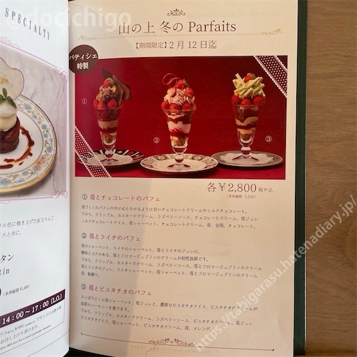 f:id:docichigo:20240204172512j:image