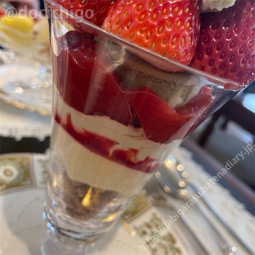 f:id:docichigo:20240204172514j:image