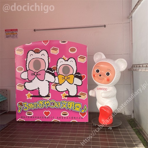 f:id:docichigo:20240211202700j:image