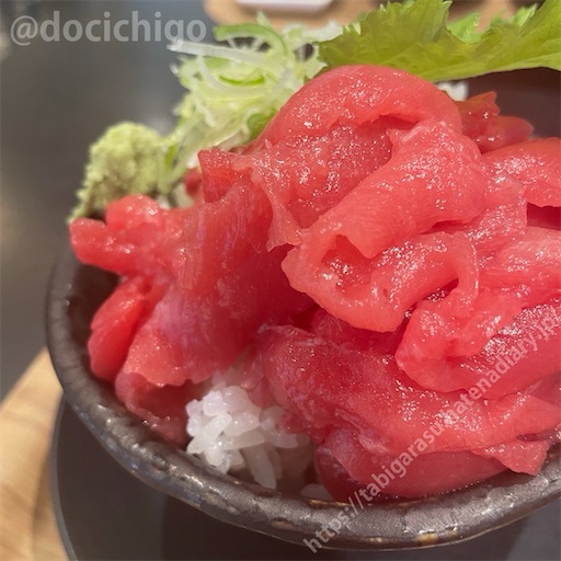 f:id:docichigo:20240303093653j:image f:id:docichigo:20240303093653j:image