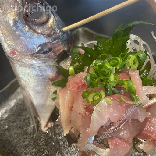 f:id:docichigo:20240303093701j:image f:id:docichigo:20240303093701j:image