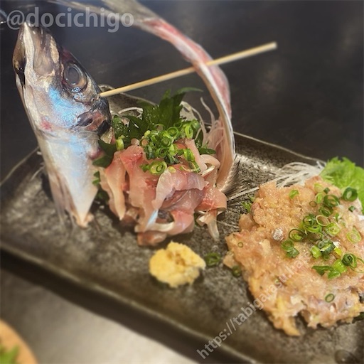 f:id:docichigo:20240303093707j:image f:id:docichigo:20240303093707j:image