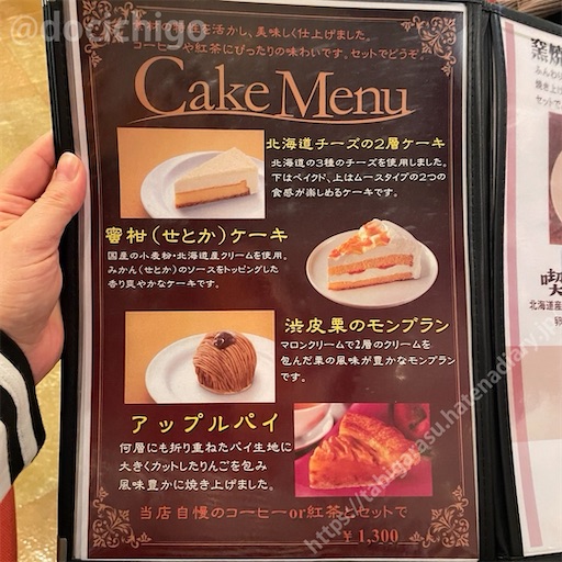 f:id:docichigo:20240310195102j:image f:id:docichigo:20240310195102j:image