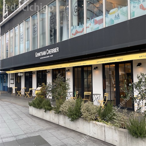 f:id:docichigo:20240317202145j:image