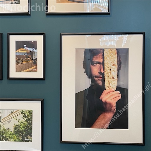 f:id:docichigo:20240317202450j:image