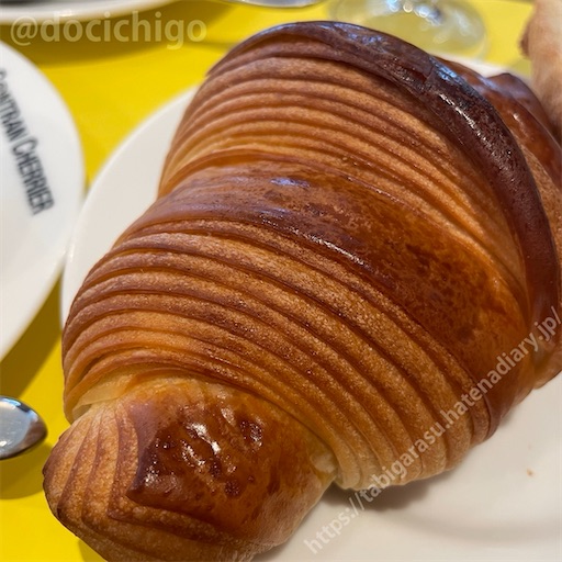 f:id:docichigo:20240317202505j:image