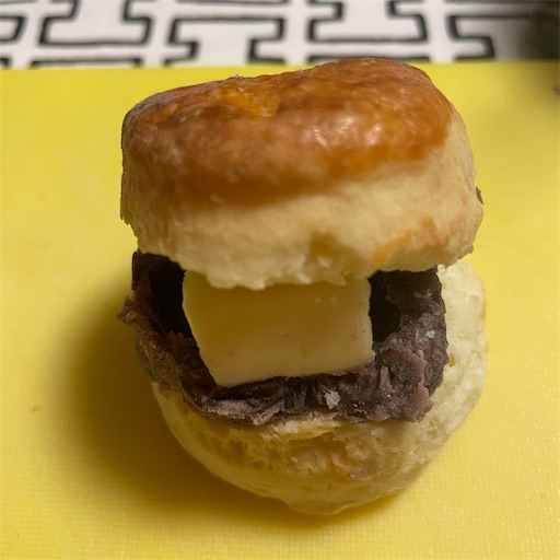 f:id:docichigo:20240330164101j:image