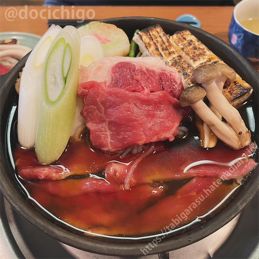f:id:docichigo:20240414113939j:image