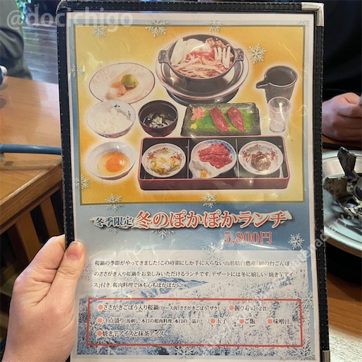 f:id:docichigo:20240414113943j:image
