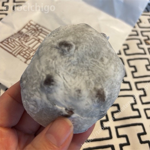 f:id:docichigo:20240512094313j:image f:id:docichigo:20240512094313j:image