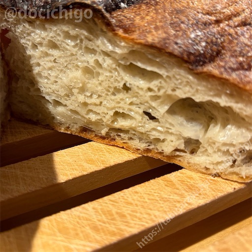 f:id:docichigo:20240519152143j:image