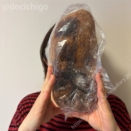 f:id:docichigo:20240519152151j:image