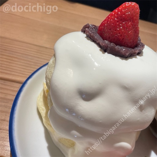 f:id:docichigo:20240519212204j:image