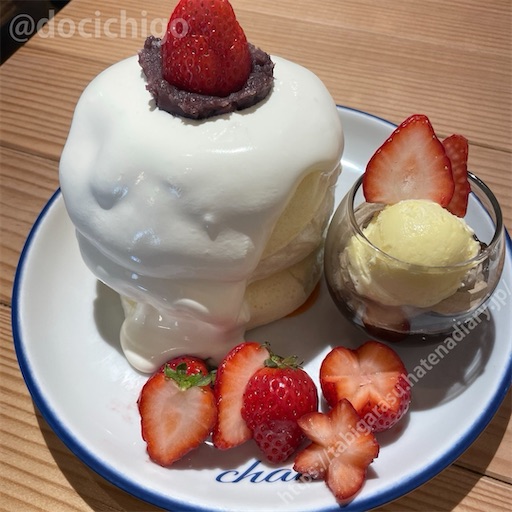 f:id:docichigo:20240519212212j:image