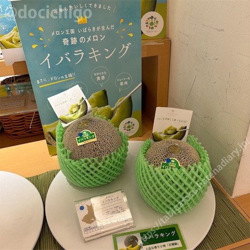 f:id:docichigo:20240526195852j:image