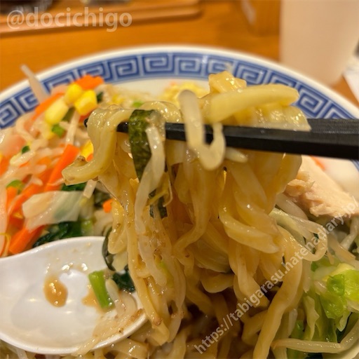 f:id:docichigo:20240601222330j:image