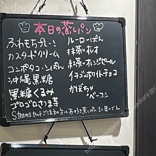 f:id:docichigo:20240602203343j:image