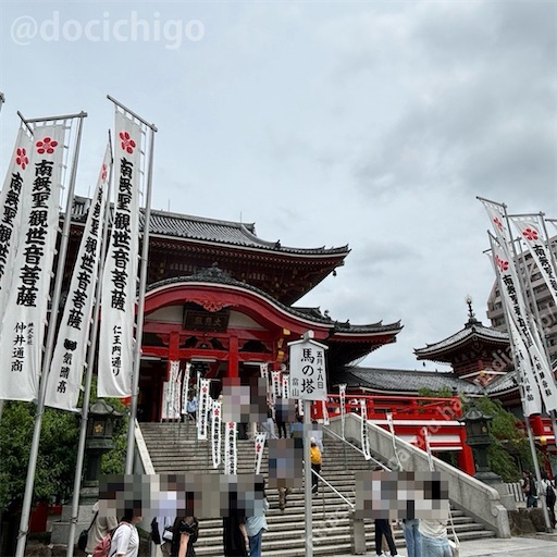 f:id:docichigo:20240608213359j:image