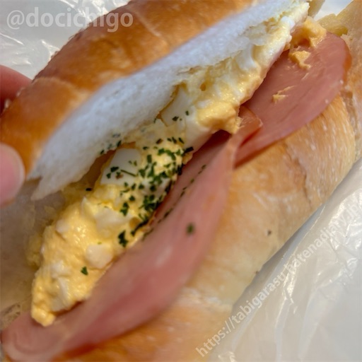 f:id:docichigo:20240616210932j:image